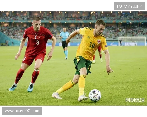 乌克兰男篮对决黑山队世预赛精彩瞬间回顾与分析